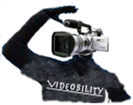 videobility logo